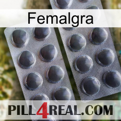 Femalgra 31